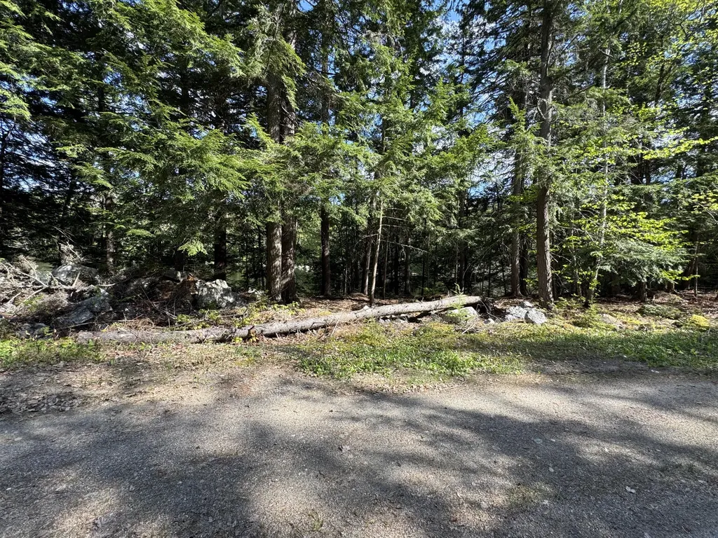 00 Elbow Lake Road T3 Indian Purchase Twp ME 04462