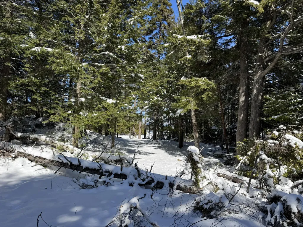00 Elbow Lake Road T3 Indian Purchase Twp ME 04462