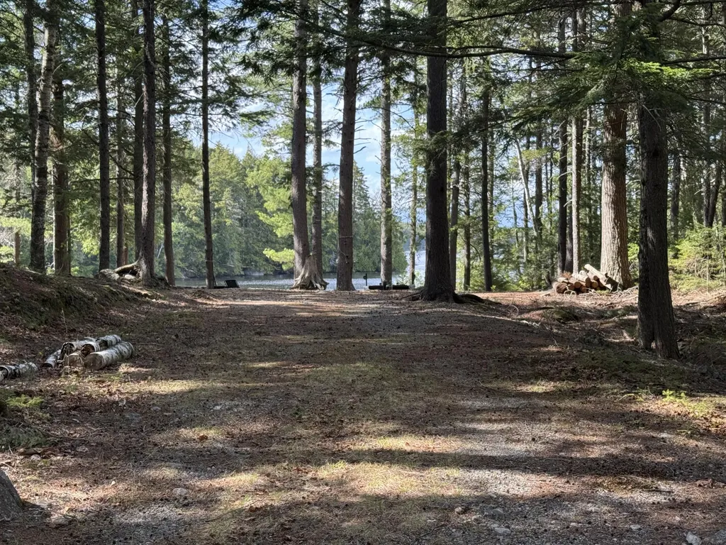 00 Elbow Lake Road T3 Indian Purchase Twp ME 04462