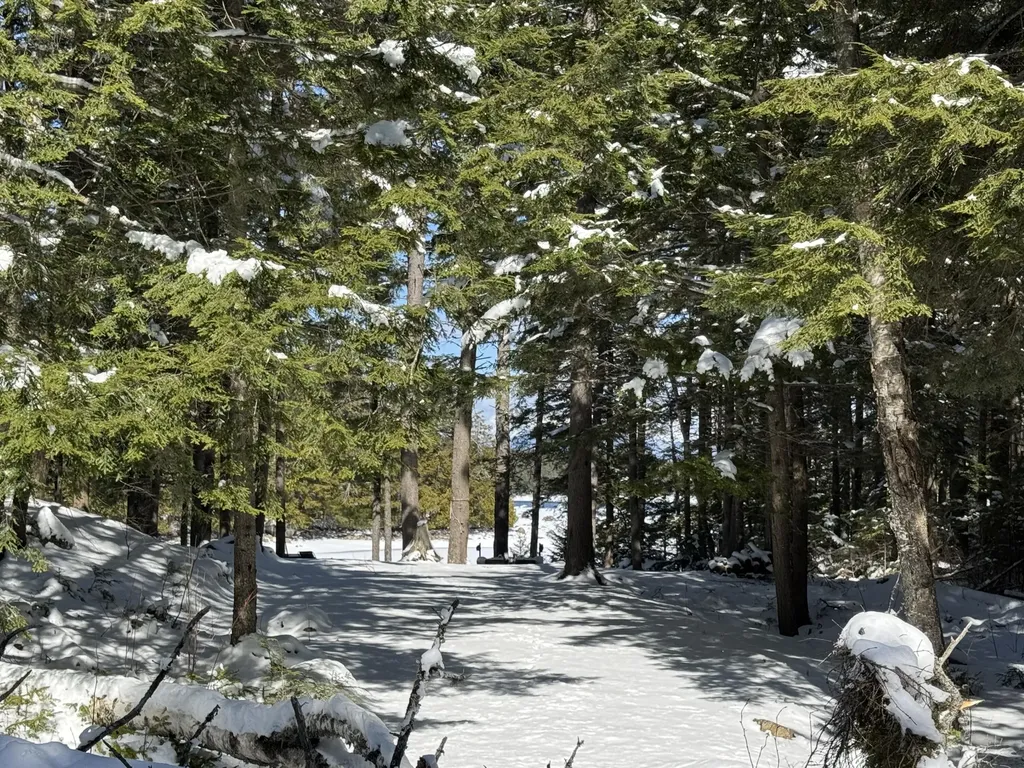 00 Elbow Lake Road T3 Indian Purchase Twp ME 04462