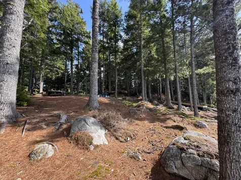 00 Elbow Lake Road T3 Indian Purchase Twp ME 04462
