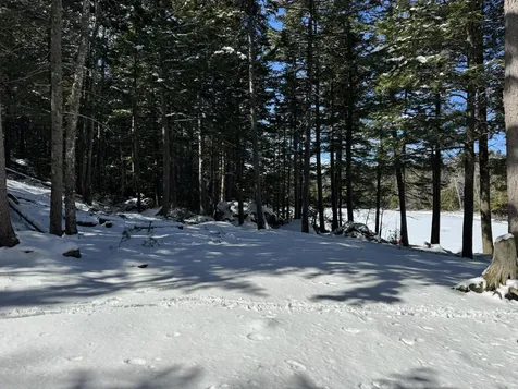 00 Elbow Lake Road T3 Indian Purchase Twp ME 04462