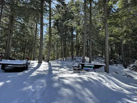 00 Elbow Lake Road T3 Indian Purchase Twp ME 04462