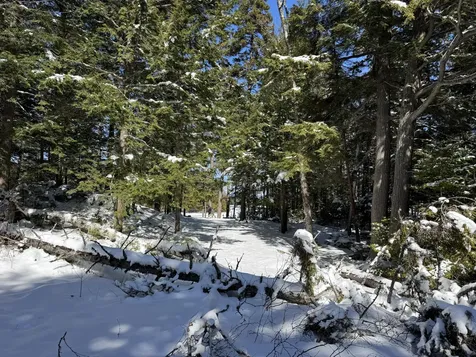 00 Elbow Lake Road T3 Indian Purchase Twp ME 04462
