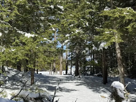00 Elbow Lake Road T3 Indian Purchase Twp ME 04462