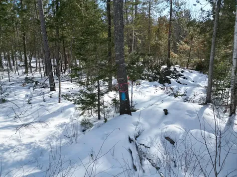 14 Twin Springs Lane Lincoln ME 04457
