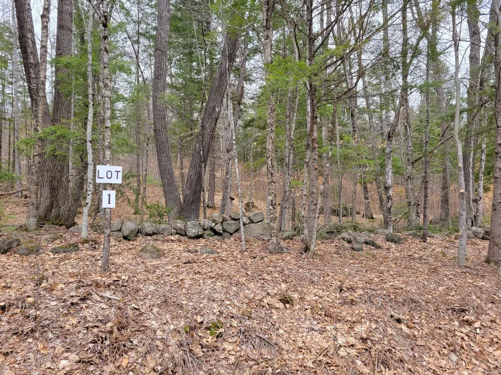 Lot #1 W West Fryeburg Road Fryeburg ME 04037
