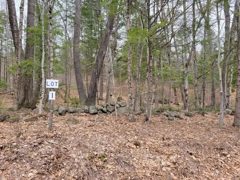 Lot #1 W West Fryeburg Road Fryeburg ME 04037
