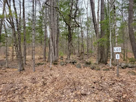 Lot #1 W West Fryeburg Road Fryeburg ME 04037