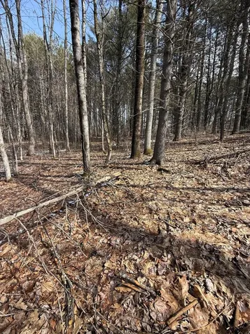 1148 Kenduskeag Avenue Bangor ME 04401