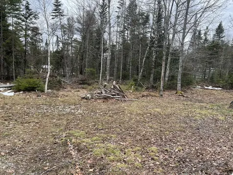57 Dennis Road Orland ME 04472
