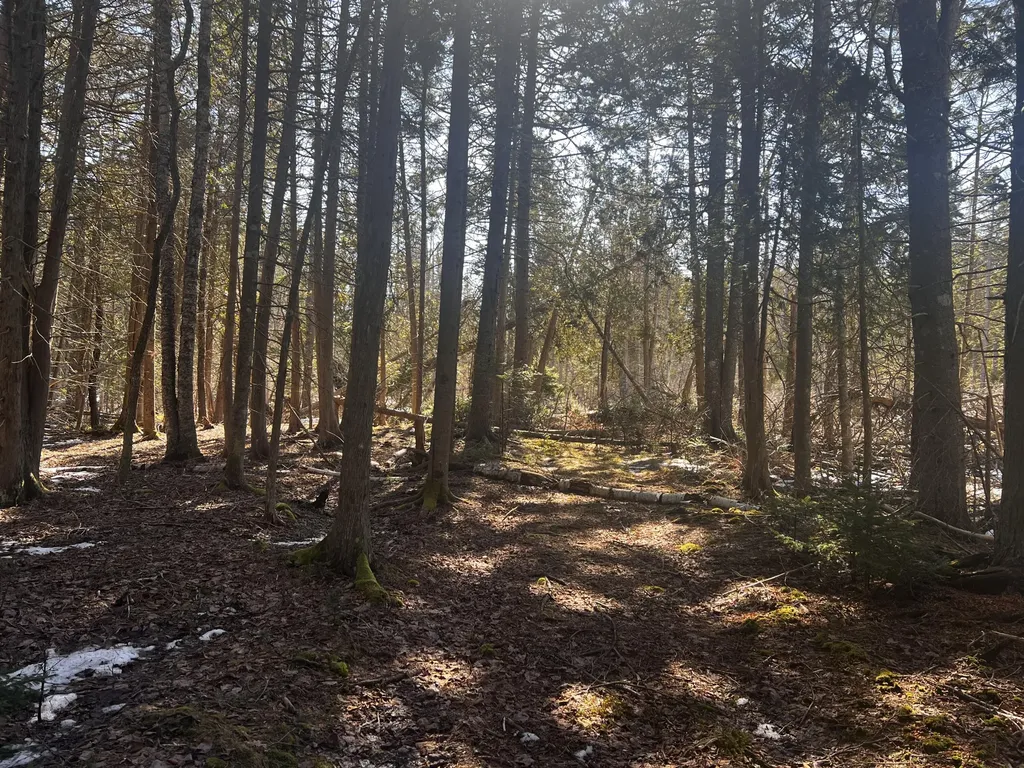 1148 Cape Rosier Road Brooksville ME 04617