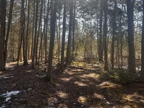 1148 Cape Rosier Road Brooksville ME 04617