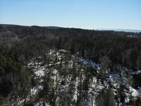 1148 Cape Rosier Road Brooksville ME 04617