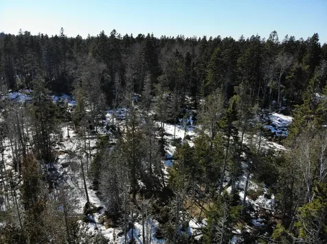 1148 Cape Rosier Road Brooksville ME 04617