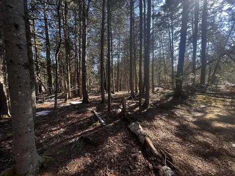 1148 Cape Rosier Road Brooksville ME 04617
