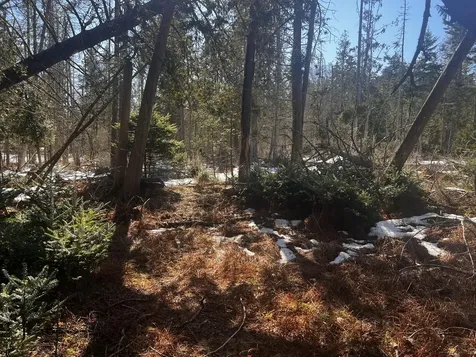 1148 Cape Rosier Road Brooksville ME 04617