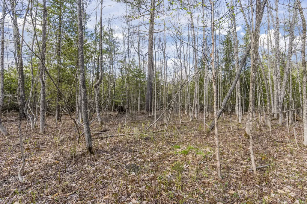 Lot 45-2 Pinewoods Trail Oakland ME 04963