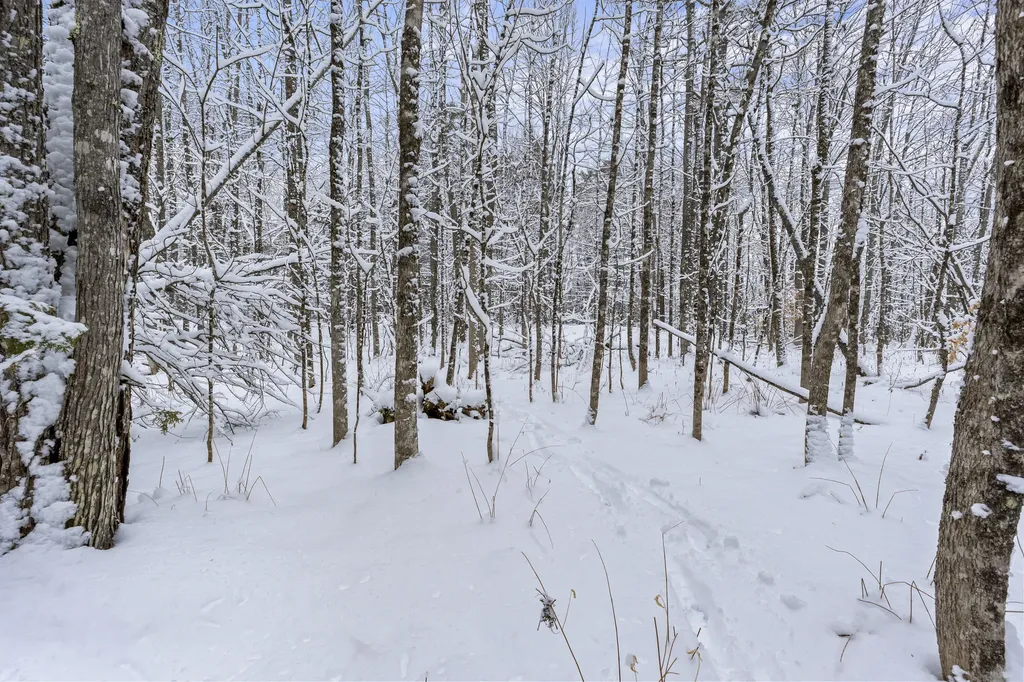 Lot 45-2 Pinewoods Trail Oakland ME 04963