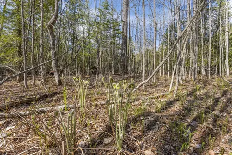 Lot 45-2 Pinewoods Trail Oakland ME 04963