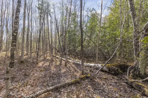Lot 45-2 Pinewoods Trail Oakland ME 04963
