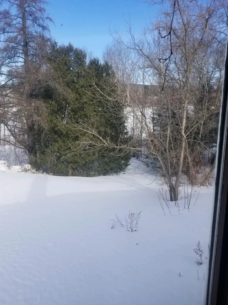 475 W Main Street Fort Kent ME 04743