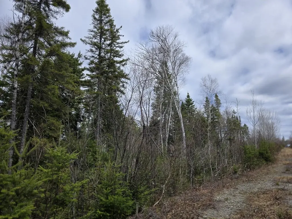 M31-4A Off Gendreau Road Madawaska ME 04756