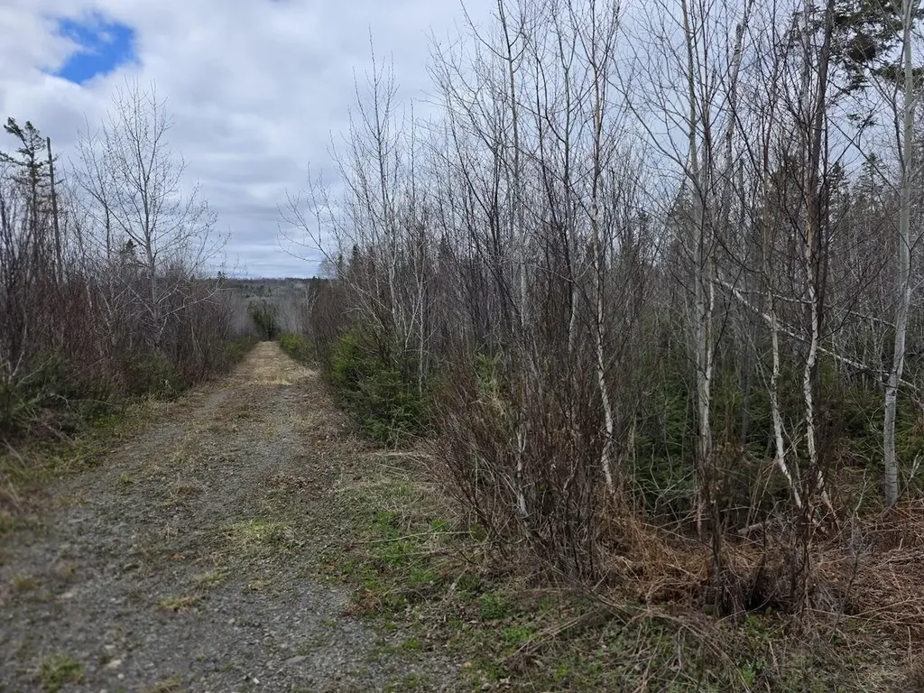 M31-4A Off Gendreau Road Madawaska ME 04756