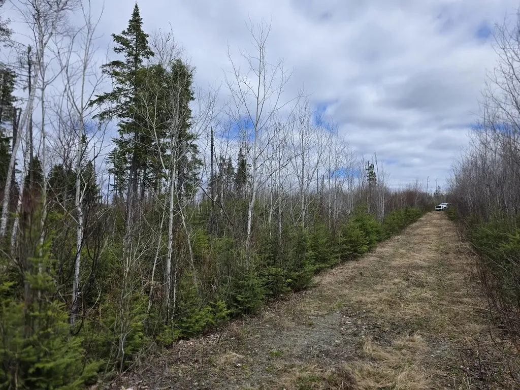 M31-4A Off Gendreau Road Madawaska ME 04756