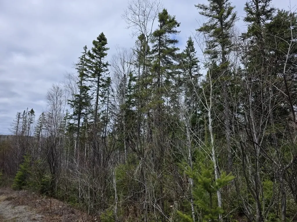 M31-4A Off Gendreau Road Madawaska ME 04756