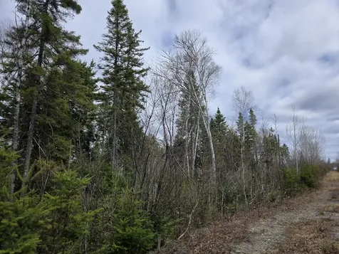 M31-4A Off Gendreau Road Madawaska ME 04756