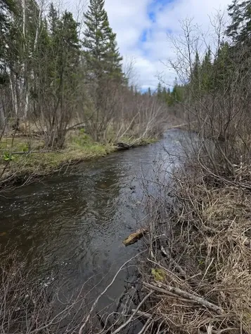 M31-4A Off Gendreau Road Madawaska ME 04756