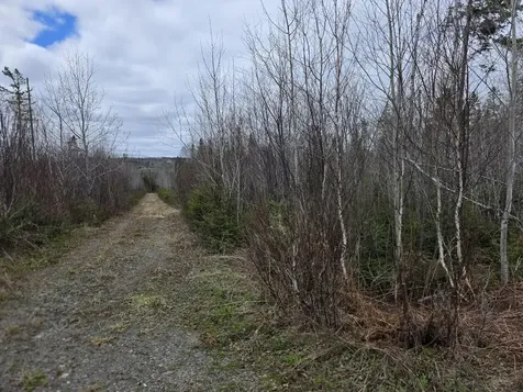 M31-4A Off Gendreau Road Madawaska ME 04756