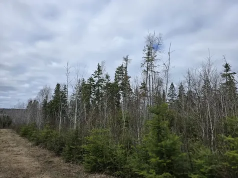 M31-4A Off Gendreau Road Madawaska ME 04756