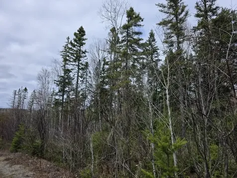 M31-4A Off Gendreau Road Madawaska ME 04756