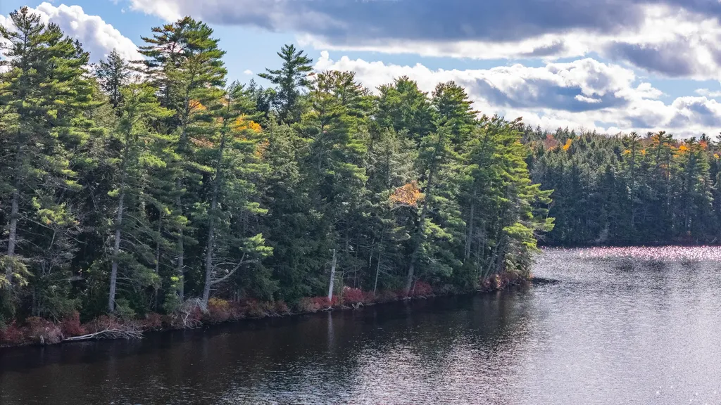 Lot 15&40 Gibbs Road Wiscasset ME 04578