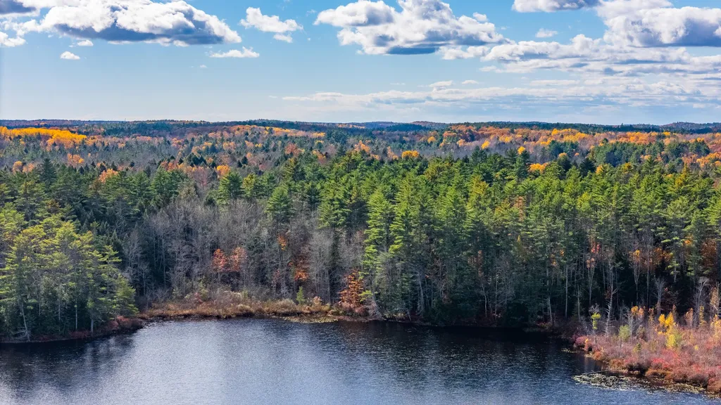 Lot 15&40 Gibbs Road Wiscasset ME 04578