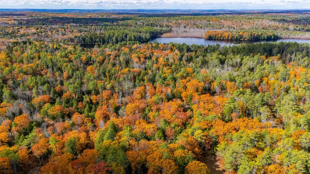 Lot 15 Gibbs Road Wiscasset ME 04578