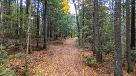 Lot 15 Gibbs Road Wiscasset ME 04578