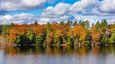 Lot 15 Gibbs Road Wiscasset ME 04578