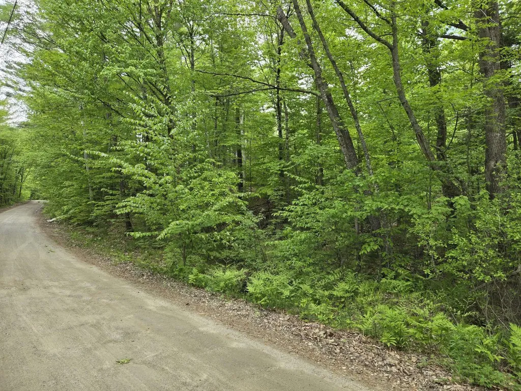 Lot 10c Staples Pond Road Temple ME 04984