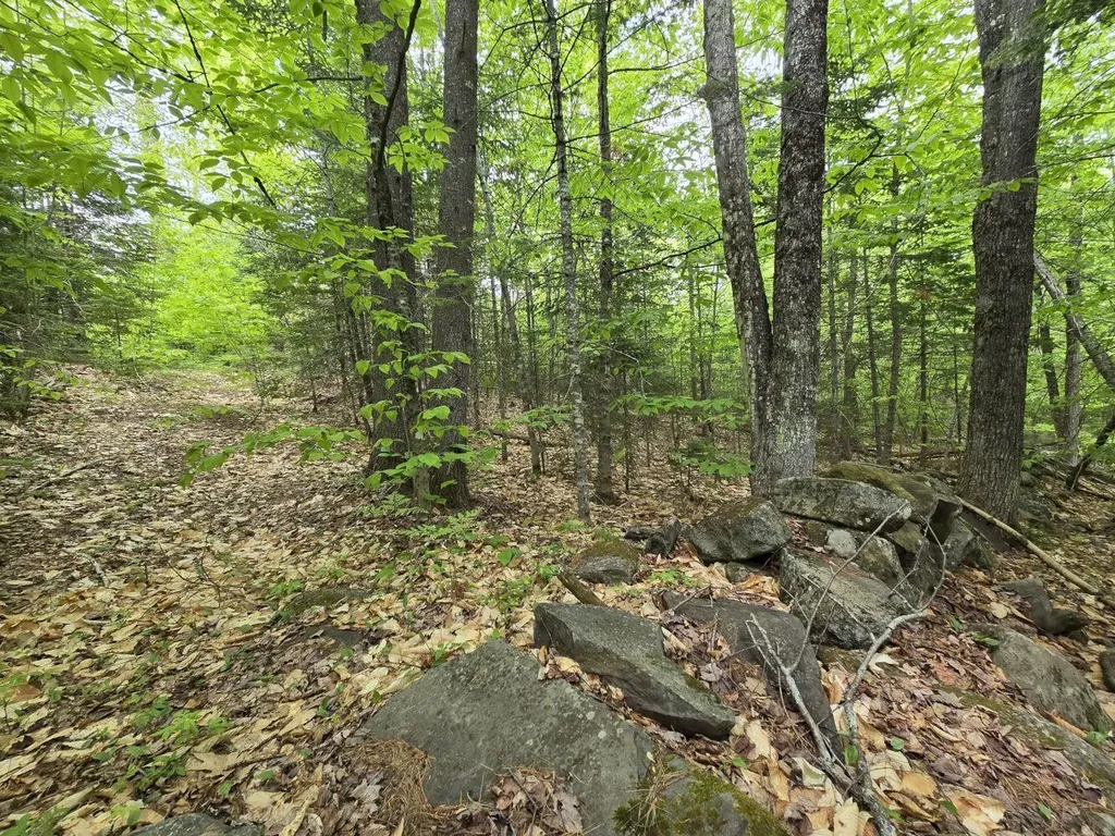 Lot 10c Staples Pond Road Temple ME 04984