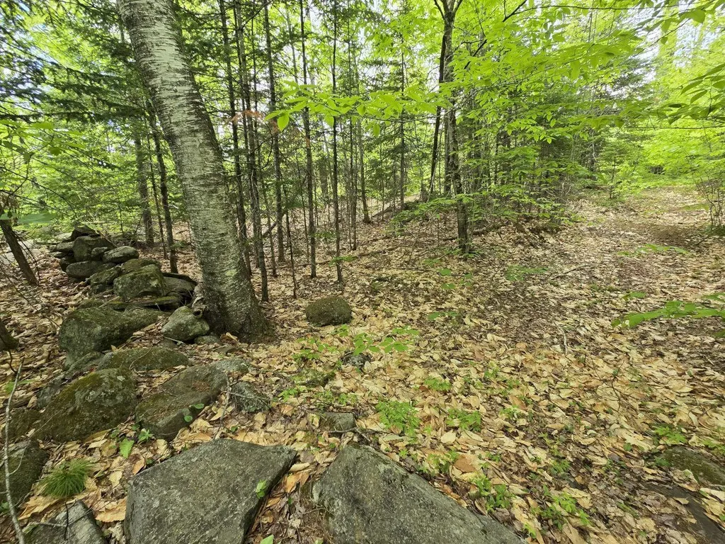Lot 10c Staples Pond Road Temple ME 04984