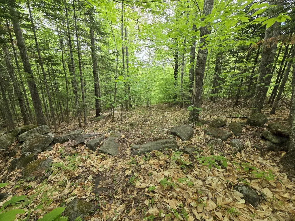 Lot 10c Staples Pond Road Temple ME 04984