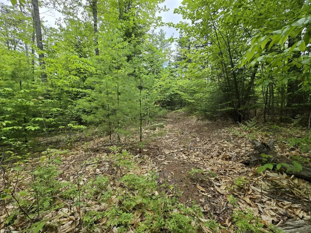 Lot 10c Staples Pond Road Temple ME 04984