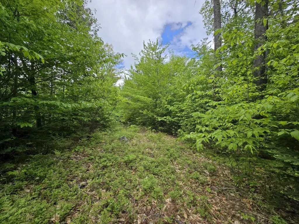 Lot 10c Staples Pond Road Temple ME 04984