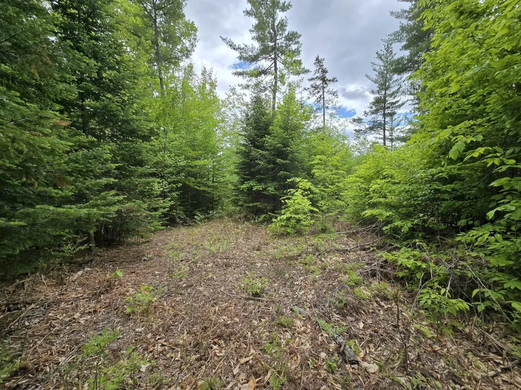 Lot 10c Staples Pond Road Temple ME 04984