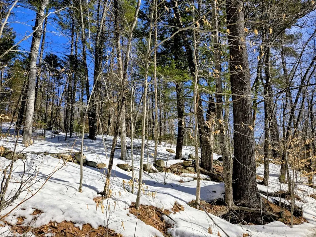 Lot 10c Staples Pond Road Temple ME 04984
