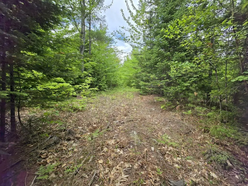 Lot 10c Staples Pond Road Temple ME 04984