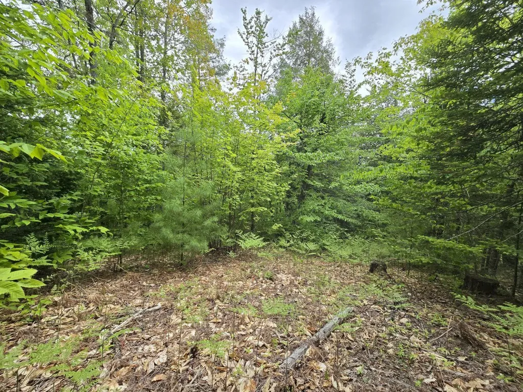 Lot 10c Staples Pond Road Temple ME 04984